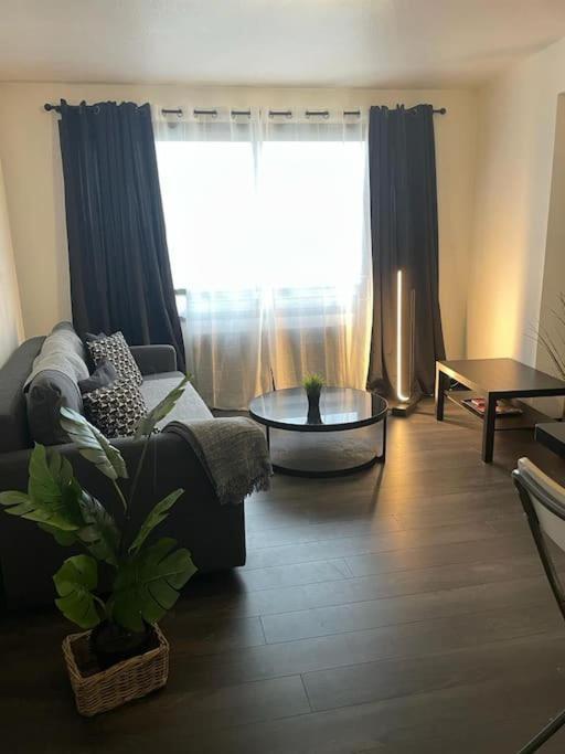 Le Cocon Des Horizons Appartement Rennes Buitenkant foto